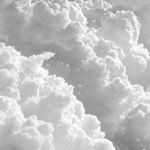 Profile Picture of lily (@lilysuhody) on Instagram