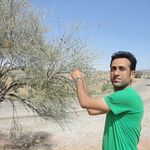 Profile Picture of hossein memarzadeh (@hossein_memarzadeh) on Instagram