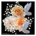 Profile Picture of Hail Saeed (@hail.saeed.3) on Facebook