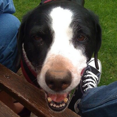 Profile Picture of Pam Owen (@Pammyo999) on Twitter