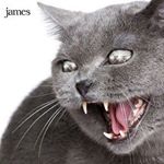 Profile Picture of James McGurk (@james.mcgurk1) on Instagram