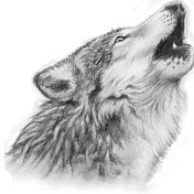 Profile Picture of Steven Shepard (@WolfSpirit1989) on Youtube
