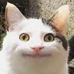 Profile Picture of Jeff Tweed (@jstweeder) on Instagram