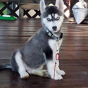 Profile Picture of Lisa Heck (@lisaheck2863) on Youtube