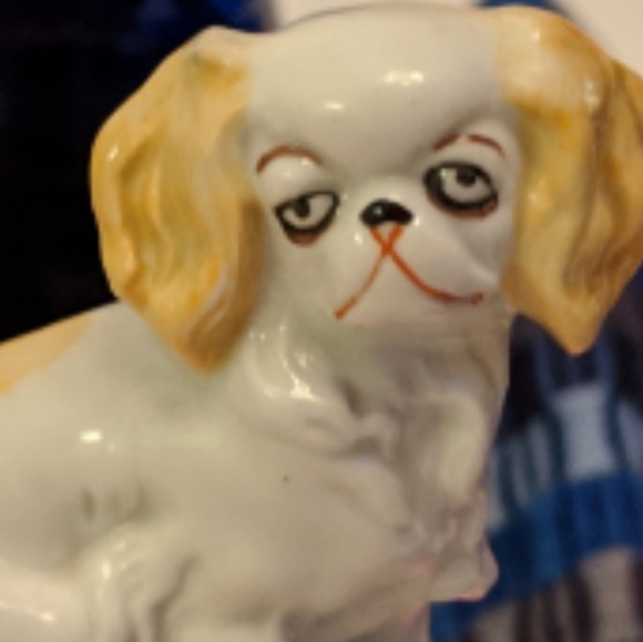 Profile Picture of Dianne Soffa (@soffdi) on Poshmark