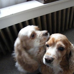 Profile Picture of Vicky Whiting (@104500595) on Myspace