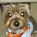 Profile Picture of Cassandra Galloway (@cassandra.galloway.925) on Facebook