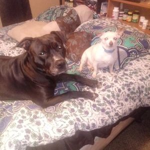 Profile Picture of Robert Gullion (@RobertGullion5) on Twitter