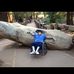 Profile Picture of Julian Carranza (@julian.carranza.5201) on Facebook