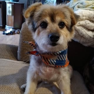 Robert Slager - Instagram Profile Picture of Robert Slager (@robertslager) on Instagram