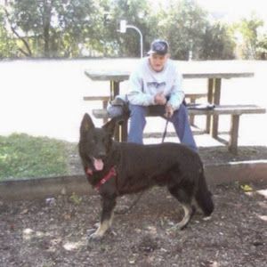 Profile Picture of stevendipietro7 (@stevendipietro7) on Tiktok