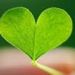 Profile Picture of Terry Hazelton-Peirce (@tpeirce26) on Pinterest