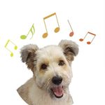Profile Picture of El perri cantor 🎤🐶 (@soykorsy) on Instagram