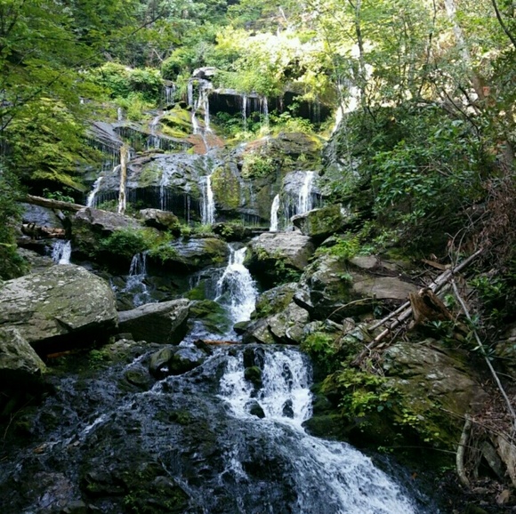 Profile Picture of Parker Litterick (@plitterick) on Poshmark