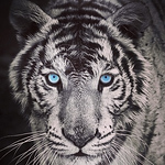 Profile Picture of Mari Rivera (@maluisa_slm) on Flickr