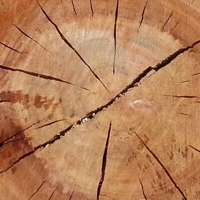 Profile Picture of Sofia Fargas (@FargasSofia) on Twitter