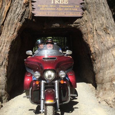 Profile Picture of Keith Terrell (@KeithTerrell18) on Twitter