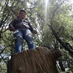 Profile Picture of Adrián Mojica (@adrian.mojica.92754) on Instagram
