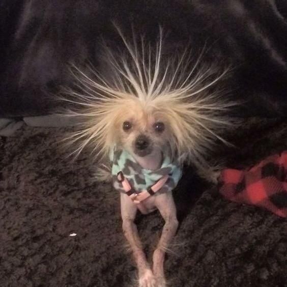 Cleo Woods - Tiktok Profile Picture of Cleo Woods (@cleowoods533) on Tiktok