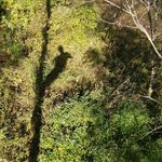 Profile Picture of Seth Abbey (@abbeyseth88) on Instagram