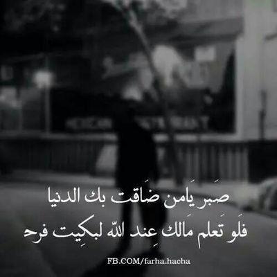 Profile Picture of Ammar Agha (@ammaragha12) on Twitter