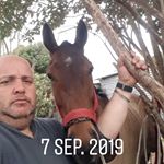 Profile Picture of alexander buriani lemus (@alexanderburini) on Instagram