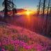 Profile Picture of Naomi Coleman (@naomi.coleman.71465) on Facebook