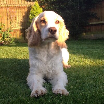 Profile Picture of Teri Barnett (@teri_barnett) on Twitter