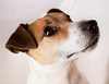 Profile Picture of Peter Pan (@Sammy1104) on Flickr