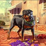 Profile Picture of Jimmy Nations (@gta5_hilarious_moments) on Instagram