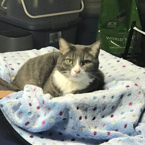 Sherry Castillo - Poshmark Profile Picture of Sherry Castillo (@shercast1883) on Poshmark