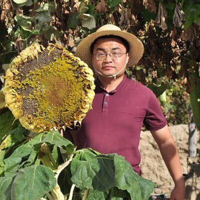 Profile Picture of Zeng Ke (@zengke) on Twitter