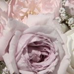 Profile Picture of jorge_hakim_ (@jorge_hakim_) on Instagram