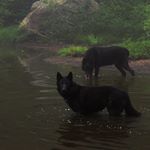 Profile Picture of björn (@bjorn.jp) on Instagram