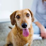 Profile Picture of Jameson Cook (@nxw88333) on Instagram