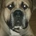 Profile Picture of Raymond Jester (@raymond.jester.3) on Facebook