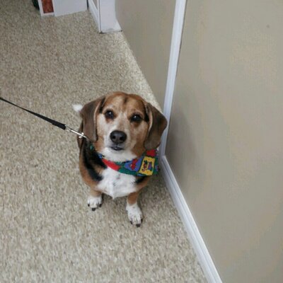 Profile Picture of Kelli Lester (@LesterKelli) on Twitter