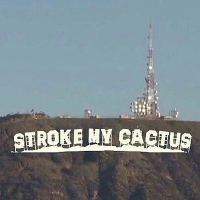 Profile Picture of Blake Everett (@evravonsss) on Twitter