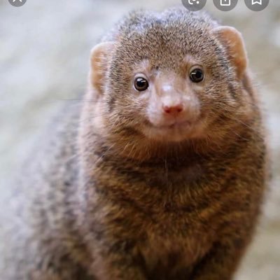 Profile Picture of Jason Lai (@jasonlai1223) on Twitter