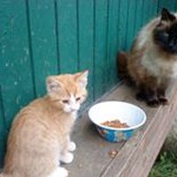 Sandra Laduke - Quora Profile Picture of Sandra Laduke (@sandra-laduke-2) on Quora