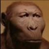 Profile Picture of Alex Nelson (@@alexnelson_420) on Tiktok