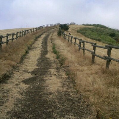 Profile Picture of Ivy Chaseon Twitter