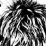 Profile Picture of Jack David Danson (@daviddanson5) on Twitter