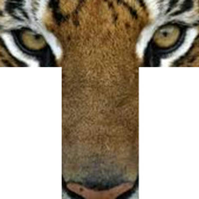 Tamanend MS - Twitter Profile Picture of Tamanend MS (@CBTamanendMS) on Twitter