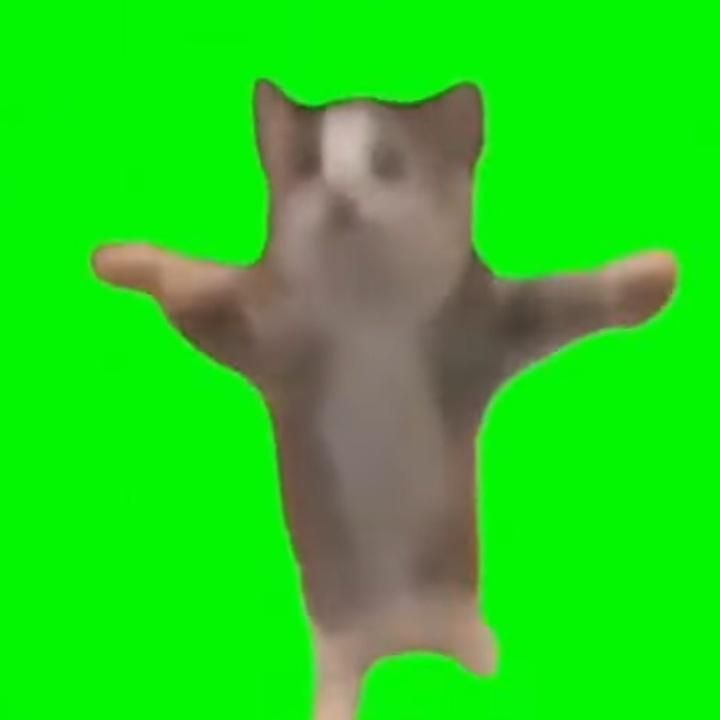 Profile Picture of RobertMcclure (@constvzb8fb) on Tiktok