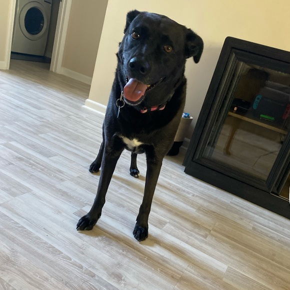 Profile Picture of Benjy Osama (@jerriesgold) on Poshmark