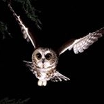 Profile Picture of Корнеева Ариадна (@abrahamwnbct22412822) on Instagram