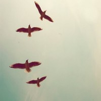 Profile Picture of Leah Weakley (@leah-weakley) on Quora