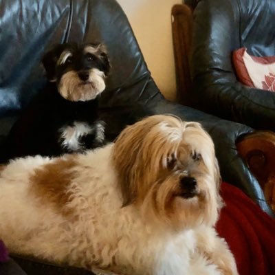 Profile Picture of Stacey (@StaceyRing2) on Twitter