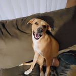 Profile Picture of James Richardson (@jamesrichardson379) on Instagram